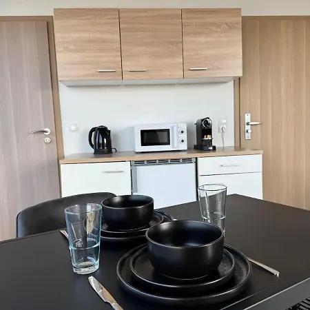 公寓 Deluxe Penthouse Zentral Mit Goldstadtblick 普福尔茨海姆